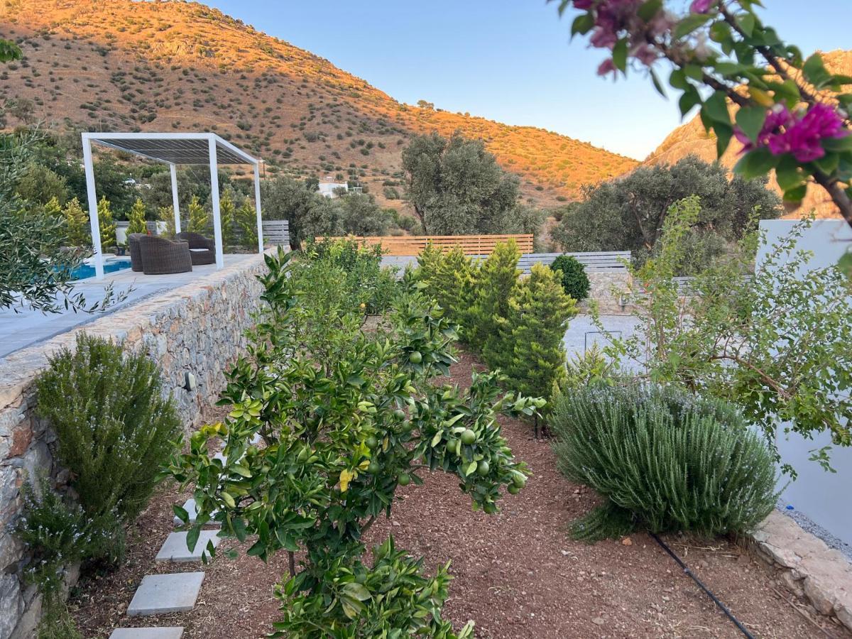 Evgoro Luxury Suites Agia Galini Exteriör bild