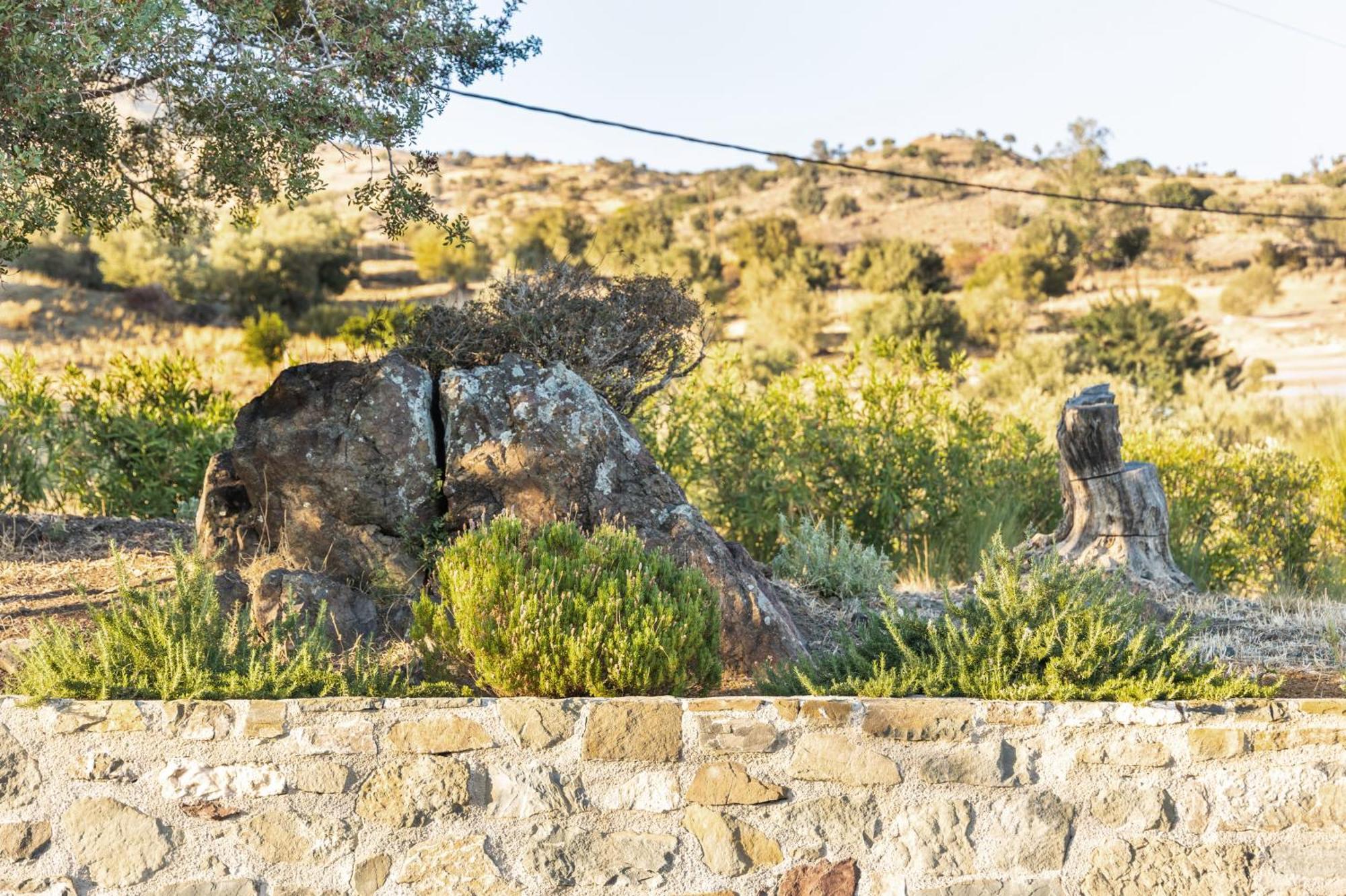 Evgoro Luxury Suites Agia Galini Exteriör bild