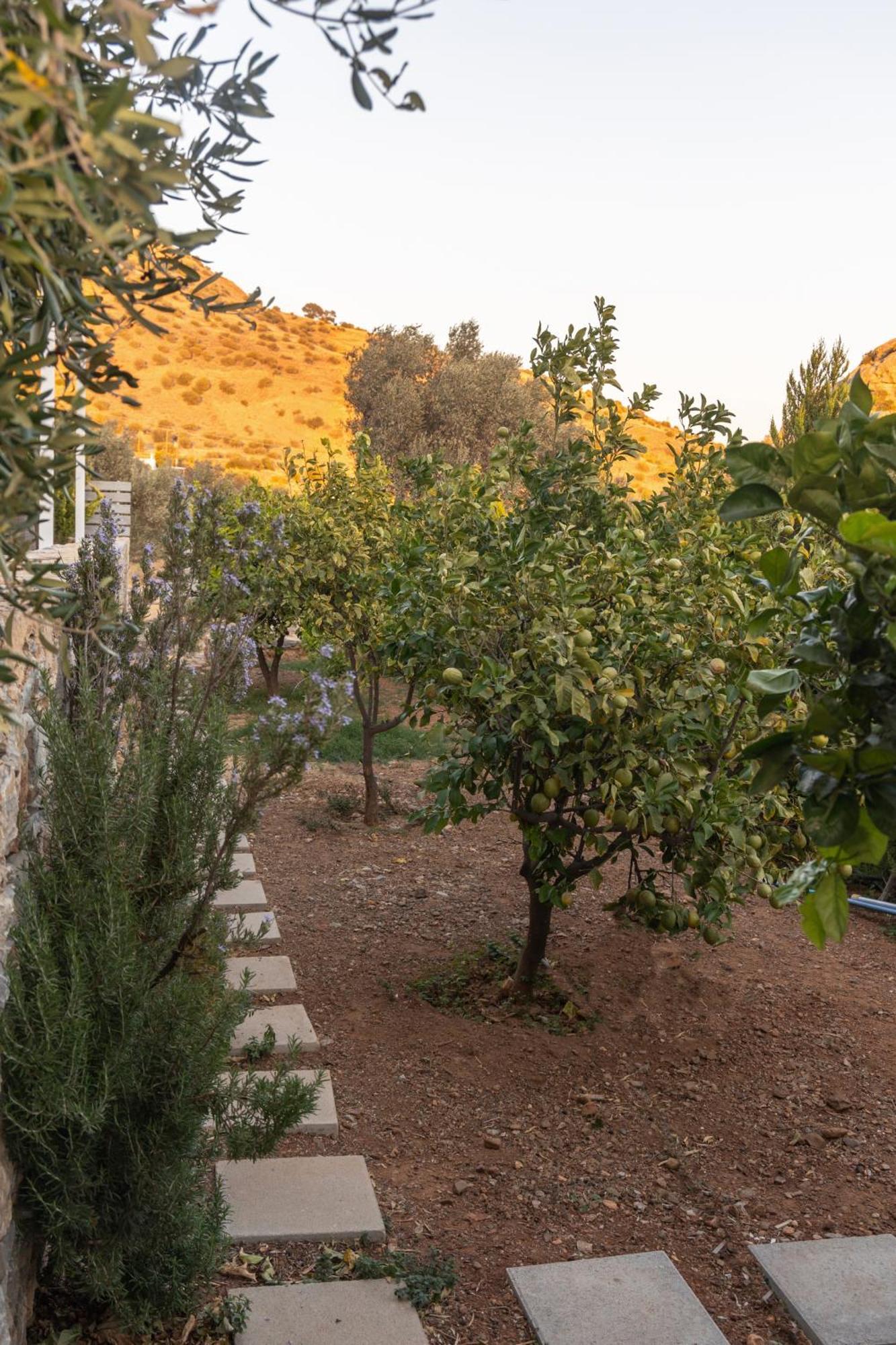 Evgoro Luxury Suites Agia Galini Exteriör bild