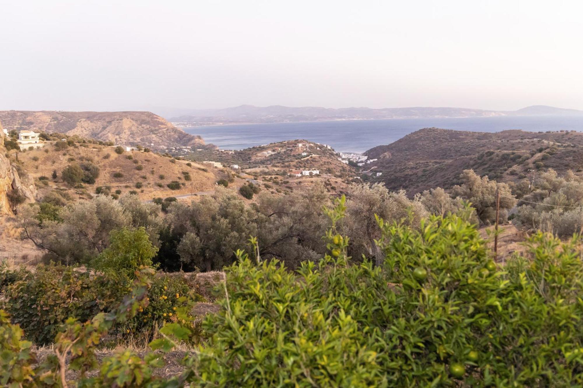 Evgoro Luxury Suites Agia Galini Exteriör bild
